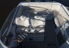Velvette 24 Euphoria